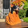 Tennessee Volunteers Mascot, Smokey, in Big Orange Knit Blanket - for Garden, Yard, Home Decor and Porch.